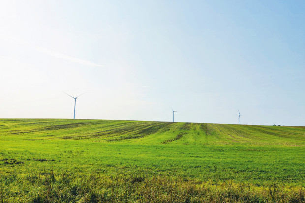 Dzierżawić grunty czy inwestować w instalację wiatrową?