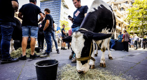 Protesty holenderskich rolników przeciwko rządowemu projektowi ograniczenia emisji tlenku azotu
