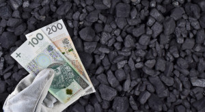 Jak kupić więcej niż 1,5 tony samorządowego węgla do ogrzania domu w 2023 r?