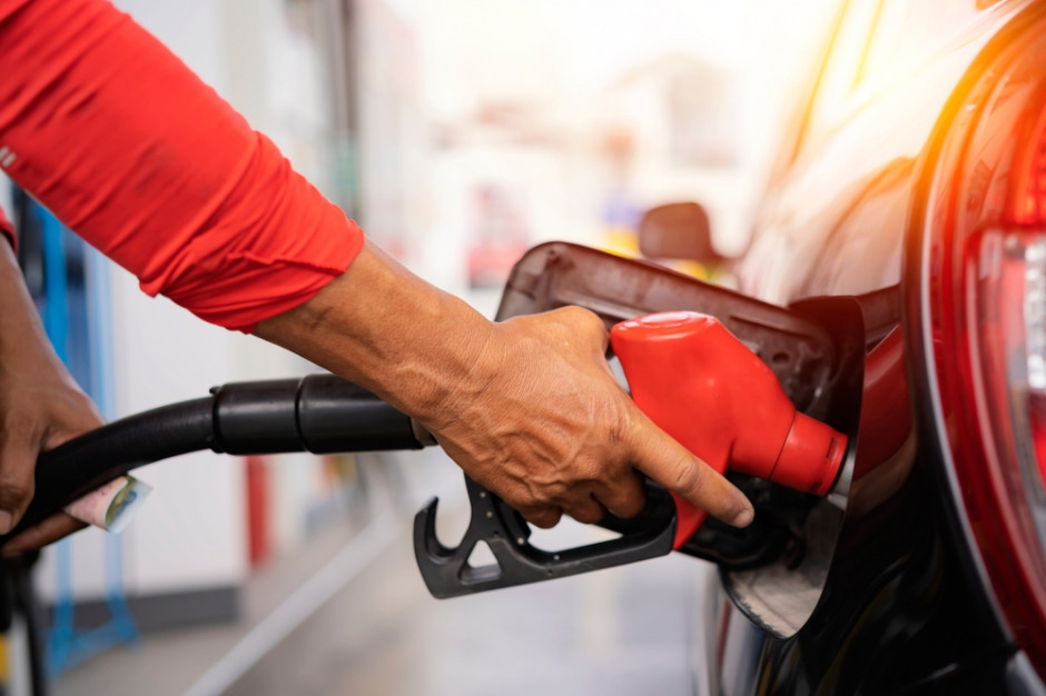 Co z produkcją biopaliwami? fot. Shutterstock