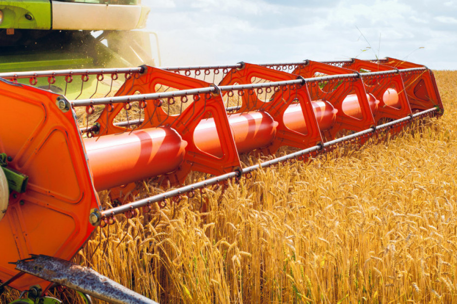 Przewaga spadków cen zbóż na światowych giełdach