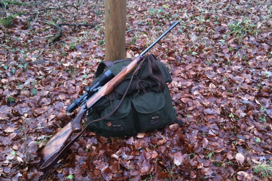 Nowe przepisy zezwalałyby do używania broni krótkiej na polowaniach, Foto: Pixabay