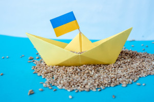 Ukraina przywróciła cła importowe od 1 lipca