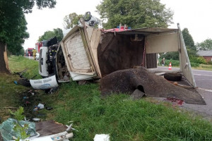 Wypadek ciężarówki wiozącej konie. Ucierpieli ludzie i zwierzęta