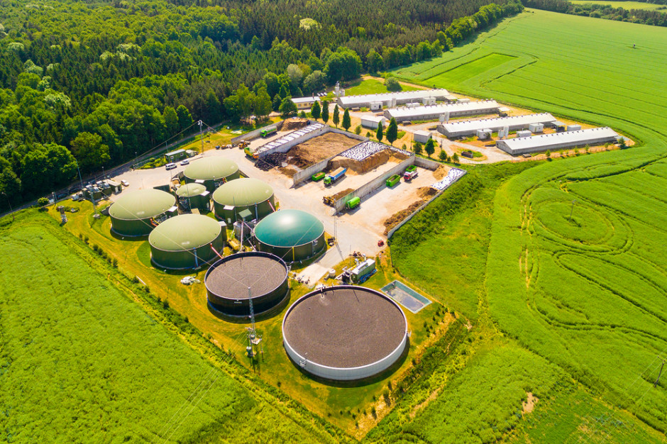 Płocki koncern podkreślił, że by zrealizować cele wynikające z wytycznych RED II będzie wdrażał na rynek zarówno biopaliwa pierwszej generacji, jak i biopaliwa zaawansowane, fot. Shutterstock