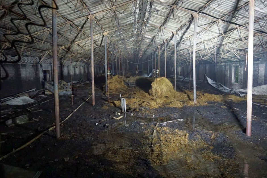 W kurniku spłoneło ponad 30 tysięcy sztuk drobiu, Foto: PSP Hajnówka