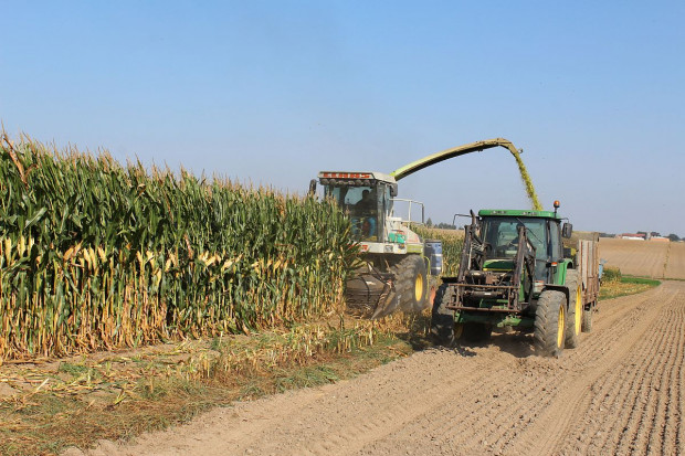 Gwoździe i śruby w kukurydzy – trwa głośny proces