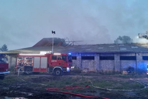 Pożar obory pod Zawierciem, uratowano 50 sztuk bydła