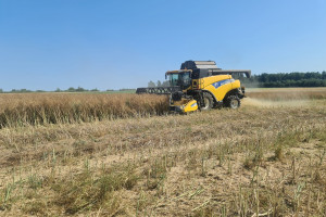 Kowalczyk: Zbiory zbóż szacowane są w tym roku na poziomie ok. 32 mln ton