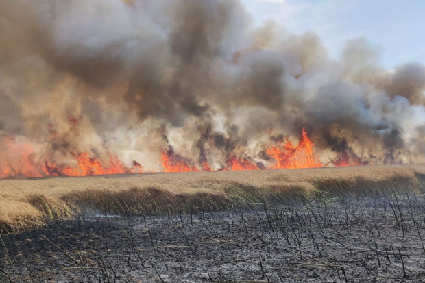 100 hektarów pól płonęło pod Pyrzycami