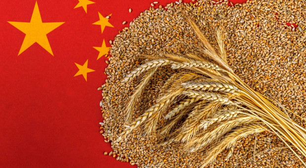 Chiny. Podsumowanie rynku zbóż w 2022 rok i prognozy na 2023
