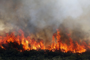 Śmigłowce wznowiły gaszenie pożaru lasów w parku narodowym Czeska Szwajcaria