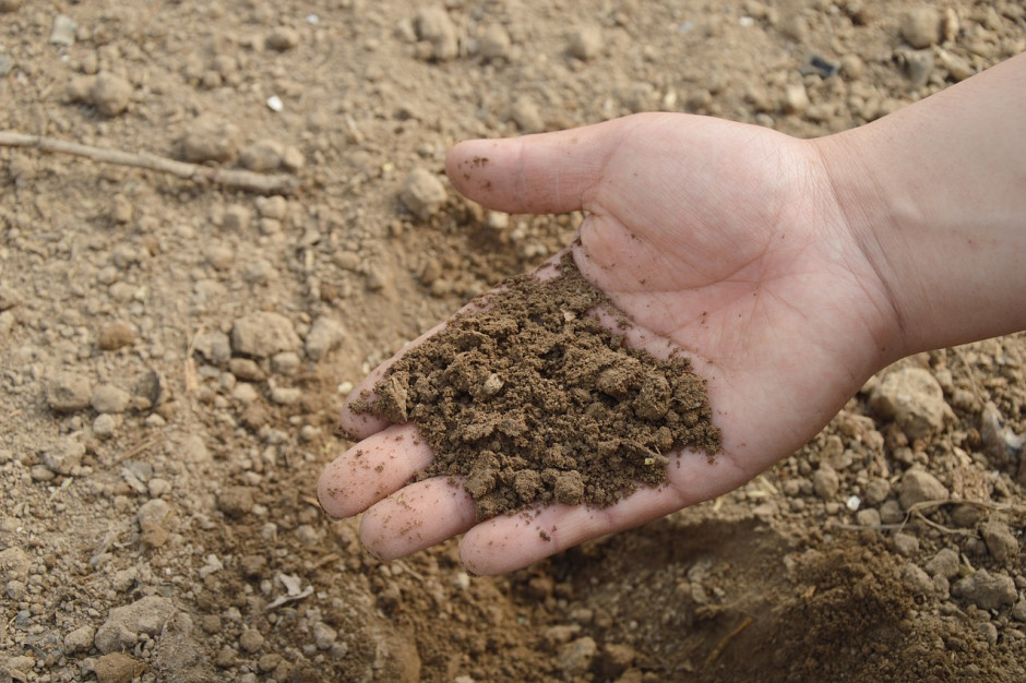 Koszt analizy podstawowej badania gleby wynosi ok. 13,12 zł. fot. pixabay