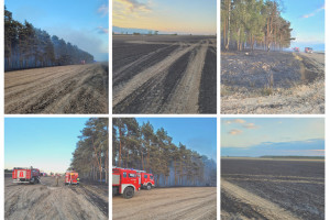 Trwa dogaszanie pożaru w okolicy Zbąszynia. Spłonęło 60 ha zboża i 5 ha lasu
