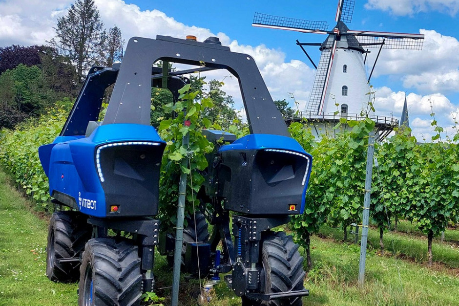 Już 50 robotów Bakus pracuje w winnicach na całym świecie, fot. Vitibot