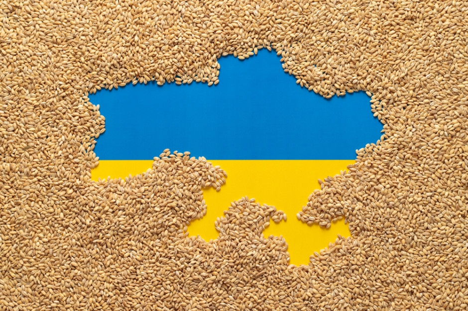 Rynek rolny w Ukrainie, fot. Shutterstock