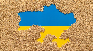 W Rumunii również kłopoty rolników z nadmiernym importem ukraińskiego zboża. Widmo bankructwa