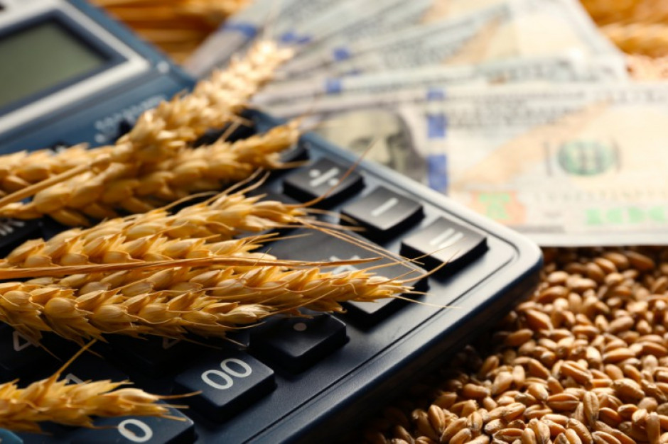Cena pszenicy na Matif potaniała o 2,0 proc. Fot. S