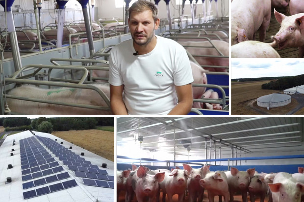 Innowacyjny Farmer 2022: Świnie bez antybiotyków i o najwyższym statusie zdrowotnym? To możliwe