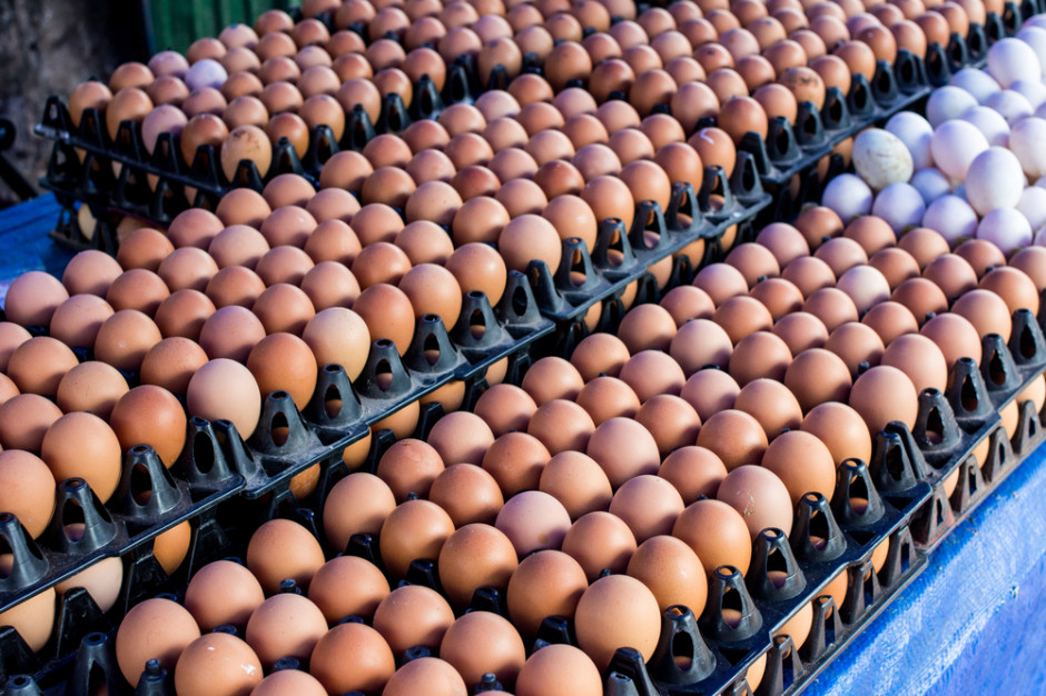 Producenci jaj muszą pokrywać zapotrzebowania zarówno konsumenta, jak i przetwórstwa Fot.Shutterstock