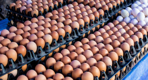 Sytuacja na rynku jaj: Wielka Brytania w kryzysie, Azja – w rozwicie