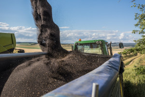 USDA: spadek prognozy światowej produkcji nasion oleistych