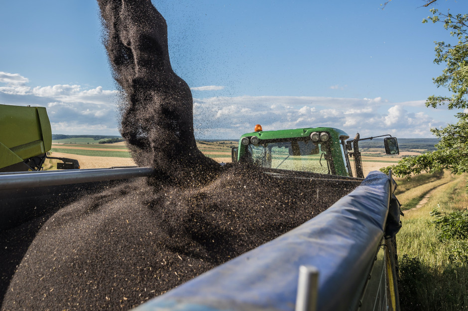 USDA: niższa światowa produkcja soi, słonecznika i nasion bawełny jest częściowo równoważona wyższą produkcją nasion rzepaku; Fot. Shutterstock