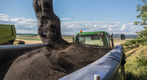 Wielka Brytania: rolnicy sieją coraz więcej rzepaku ozimego