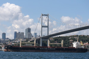 Turcja: Kolejne dwa statki z produktami rolnymi wypłynęły z Ukrainy