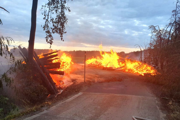 Wielki pożar składowiska drewna w Łódzkiem