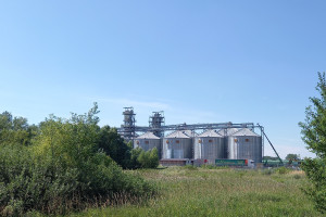 Jak funkcjonują terminale zbożowe? Spojrzeliśmy na jeden z nich