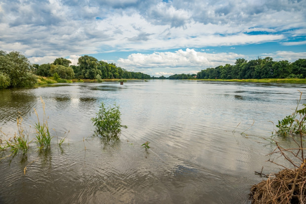 Wody Polskie: działania związane z identyfikacją wylotów do rzek podjęte zostały już we wrześniu 2021