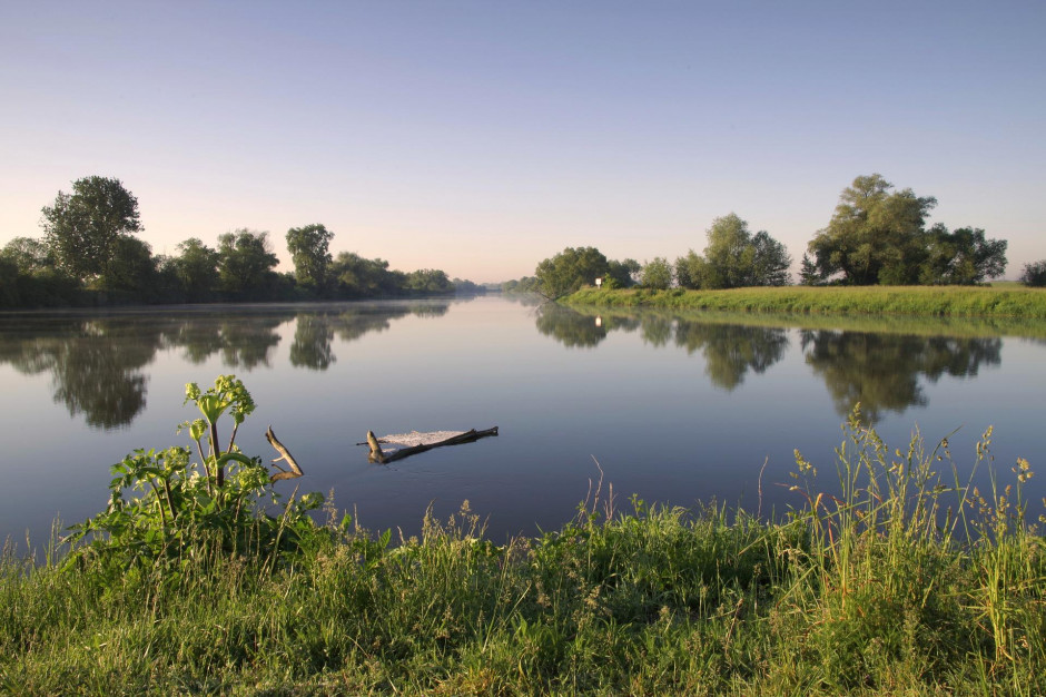 Rzeka Odra, fot. Henryk Niestrój / Pixabay