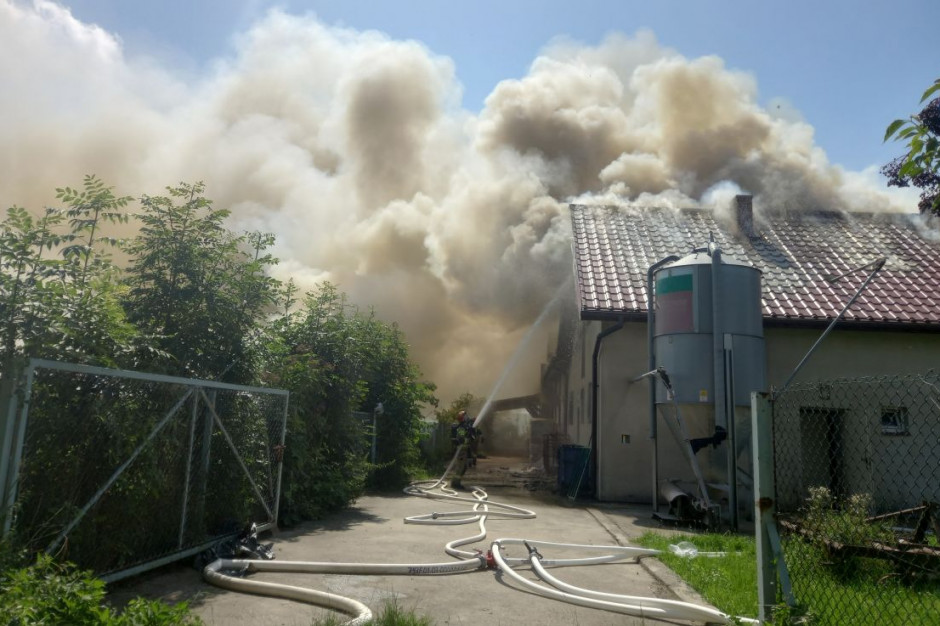 Strażacy przez 5 godzin gasili płonącą chlewnię, fot. PSP Poszowice
