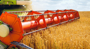 Kilkuprocentowe wzrosty cen zbóż na światowych giełdach