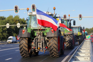 Jak powinny zachować się krajowe organizacje reprezentujące rolników wobec protestów w Holandii?