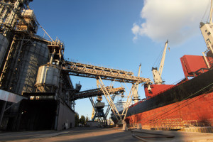 Ukraiński eksport zbóż: w sobotę przez porty na Dunaju przeszło 11 statków
