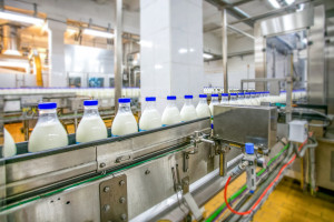 Ceny produktów mleczarskich wyraźnie spadają