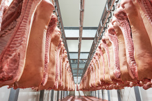 Sytuacja w produkcji trzody chlewnej - pogłowie, eksport i import wieprzowiny