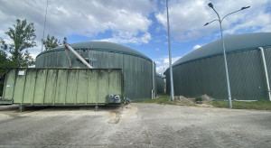 Biogazownia, która żywi się lodami