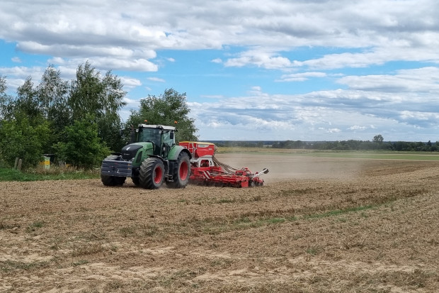 Siewy przebiegają z opóźnieniem, gdyż znaczna część rolników liczy na opady deszczu i lepsze warunki. fot.KM Siew rzepaku na Podkarpaciu trwa. Są pierwsze wschody. Jak przebiegają?