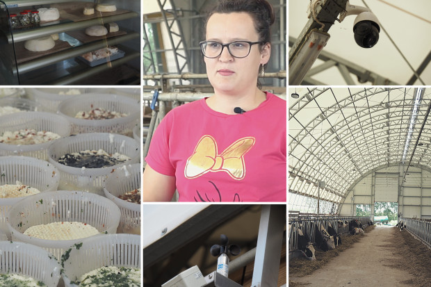Zmiana systemu chowu i ograniczenie pracy w oborze pozwoliło na rozwinięcie produkcji serów, fot. A.T. Innowacyjny Farmer 2022: Produkcja i przetwórstwo mleka – zgrany duet