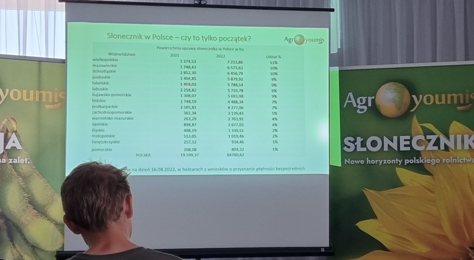 Powierzchnia uprawy słonecznika w Polsce, slajd z konferencji Agroyoumis.fot.KM