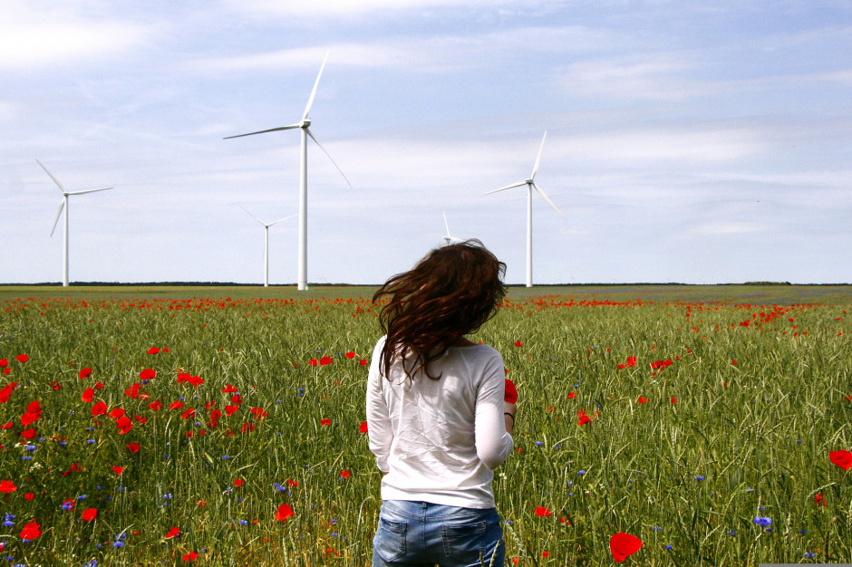 Co się dzieje z nowelizacją ustawy wiatrakowej? Czy została już uchwalona?. Foto. TanTanika, Pixabay