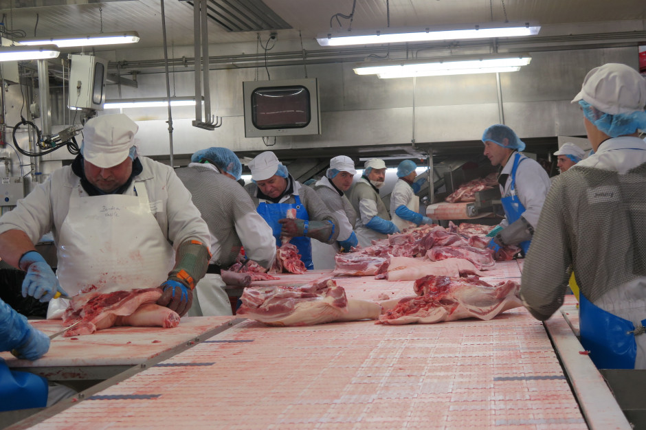 Kraje dotknięte ASF będą mogły uruchomić eksport mięsa wieprzowego do Korei Płd. w ramach przestrzegania zasad regionalizacji. fot. I.Dyba