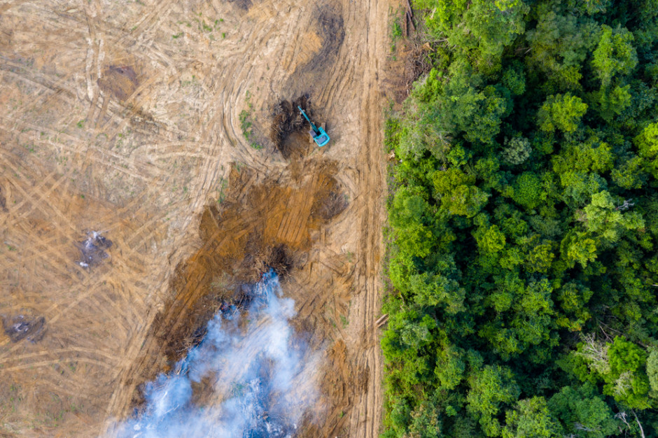 Przedstawiciele krajów Amazonii spotkali się ws. współpracy dotyczącej zatrzymania wylesiania; Fot. Shutterstock
