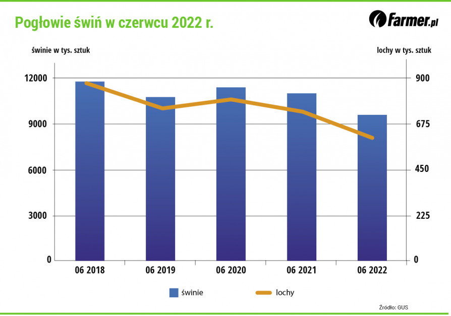 Pogłowie świń w Polsce w latach 2018-2022 (Źródło: GUS)