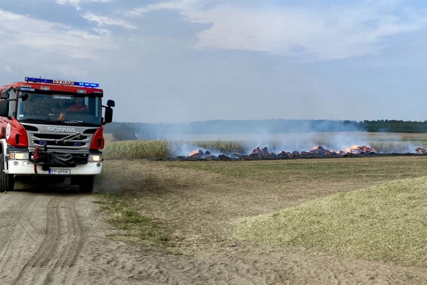 Z dymem poszły dwie sterty słomy wartej około 80 tysiecy złotych, Foto: PSP Piła Puścili z dymem siano i drewno na opał za prawie 100 tysięcy złotych. Policja zatrzymała podpalaczy