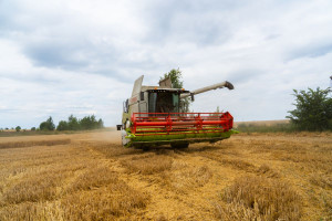 Kombajny Claas Trion oczami polskich rolników