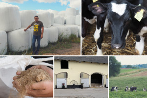 Innowacyjny Farmer 2022: 31 kg mleka od krów pastwiskowanych